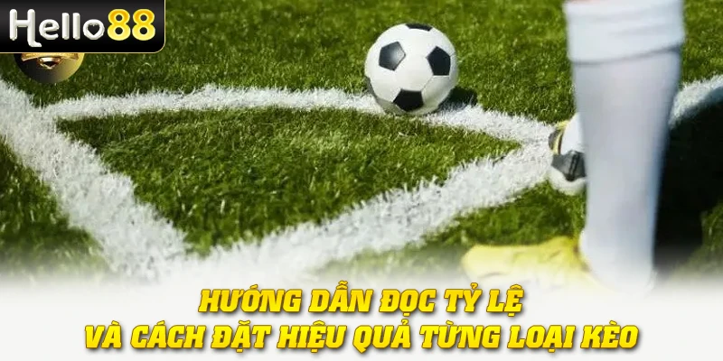 Kèo Phạt Góc - Từ Xu Hướng Giải Trí Đến Cơ Hội Sinh Lời Thật 3 Hướng dẫn đọc tỷ lệ và cách đặt hiệu quả từng loại kèo